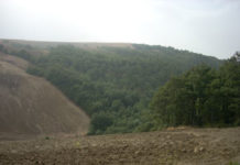 San Bartolomeo in Galdo – Manutenzione fondi agricoli, arrivano le prime multe Uno scorcio del Bosco Montauro