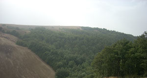 San Bartolomeo in Galdo – Manutenzione fondi agricoli, arrivano le prime multe Uno scorcio del Bosco Montauro