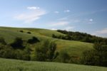 La fine di un bosco La fine di un bosco