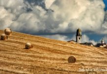 Pillole di un diario storico – parte 2