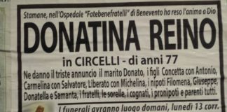 Donatina Reino