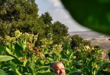 Viaggio alla scoperta del nostro territorio ep.1