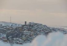 Piccolo report demografico: agosto 2017