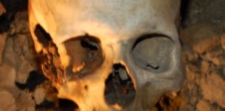 La cripta della Chiesa Nuova