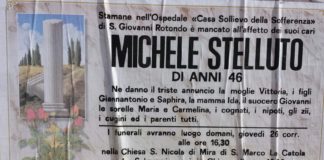Michele Stelluto