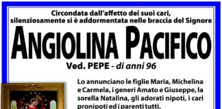 Angiolina Pacifico