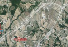 La fortorina e la variante