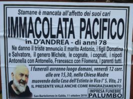 Immacolata Pacifico