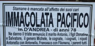 Immacolata Pacifico