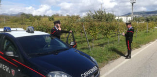 Medaglia Mauriziana al Luogotenente C.S. Mario Guerra, Comandante del Nucleo Comando della Compagnia di San Bartolomeo in Galdo