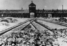 Lelletto, il Moretto, Bucefalo e Settimio Terracina. I quattro pugili del Ghetto raccontati da Lapo Palumbo Parte terza