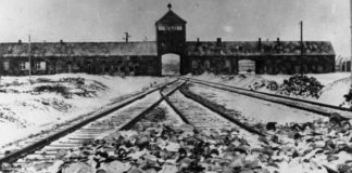 Lelletto, il Moretto, Bucefalo e Settimio Terracina. I quattro pugili del Ghetto raccontati da Lapo Palumbo Parte terza