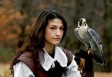 Falchi per ridimensionare la popolazione dei piccioni.