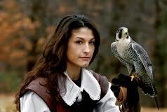 Falchi per ridimensionare la popolazione dei piccioni.