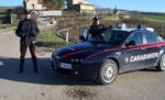 Sequestrati 200 kg di pesce nella Valfortore Sequestrati 200 kg di pesce nella Valfortore
