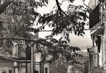 ZIBALDONE SULLA PERLA DEL FORTORE Omaggio a San Bartolomeo in Galdo Parte ottava