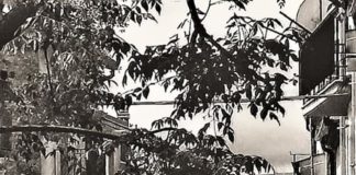 ZIBALDONE SULLA PERLA DEL FORTORE Omaggio a San Bartolomeo in Galdo Parte ottava