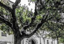 ZIBALDONE SULLA PERLA DEL FORTORE Omaggio a San Bartolomeo in Galdo Parte quarta