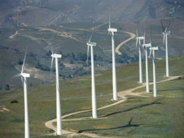 Il “pacco” che i giganti dell’eolico hanno recapitato ai piccoli comuni pugliesi (e in Campania?): royalties non pagate. La Corte Costituzionale farà giustizia?