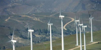 Il “pacco” che i giganti dell’eolico hanno recapitato ai piccoli comuni pugliesi (e in Campania?): royalties non pagate. La Corte Costituzionale farà giustizia?