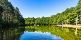 Turismo di prossimità: Fortore dimenticato, Monti Dauni valorizzati