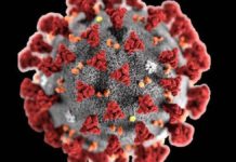 Dopo 41 giorni, torna il Covid 19 nel Sannio a San Giorgio La Molara