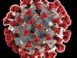 Dopo 41 giorni, torna il Covid 19 nel Sannio a San Giorgio La Molara