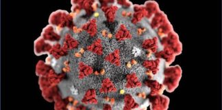 Dopo 41 giorni, torna il Covid 19 nel Sannio a San Giorgio La Molara