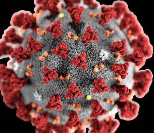 Covid-19: Aperte le vaccinazioni per gli over 70