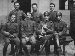 Il tempo del coraggio. La storia dei Ragazzi del ’99 e gli operatori sanitari di oggi. Il filo rosso che unisce due battaglie