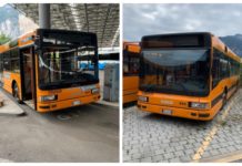 Piccola storia triste e “grigia”