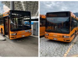 Piccola storia triste e “grigia”