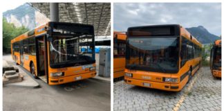 Piccola storia triste e “grigia”