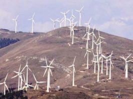 550 milioni investiti nel Foggiano e in Puglia: 16 parchi eolici e fotovoltaici, impianto idrogeno a Cerignola