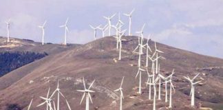 Sui Monti Dauni altre 19 pale eoliche, Naturale (M5S): “Meglio sostituire i vecchi impianti”