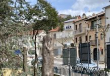 TRANSIZIONE ECOLOGICA in chiave sanbartomeana