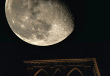 Il Sud non interessa a nessuno