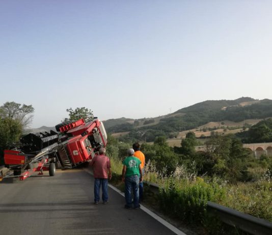 Incidente a San Bartolomeo in Galdo, mietitrebbia si ribalta Traffico in tilt