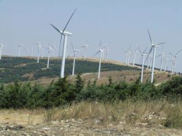 Eolico e fotovoltaico, Edison investe 200 milioni in Campania