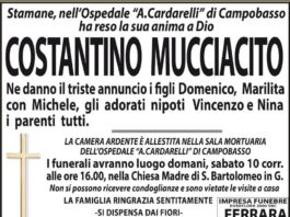 Costantino Mucciacito