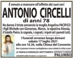 Antonio Circelli Antonio Circelli