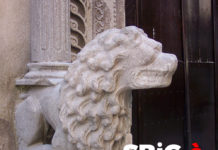 SBiG è … nei tuoi occhi