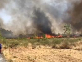 Brucia Campomarino, fuga dai camping