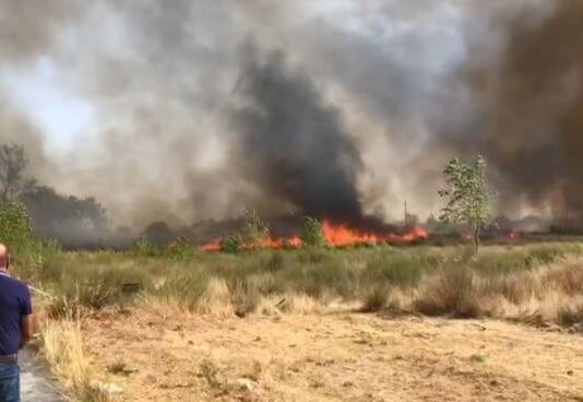 Brucia Campomarino, fuga dai camping