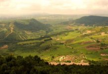 I Monti della Daunia, territorio di eccellenze e transumanza