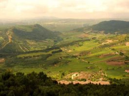 I Monti della Daunia, territorio di eccellenze e transumanza
