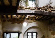 E se le lasciassimo morire dignitosamente?