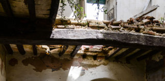 E se le lasciassimo morire dignitosamente?