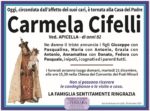 Carmela Cifelli Carmela Cifelli