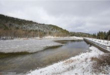 Fernando e Jimena, la coppia peruviana che ha scelto di trasferirsi a Biccari